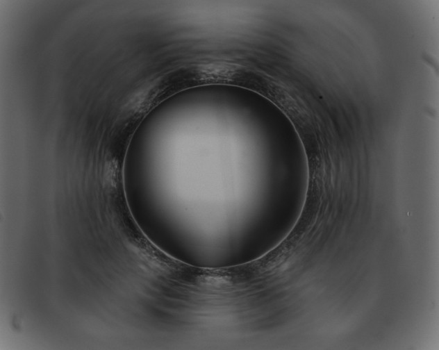 X0000093580649200710151146