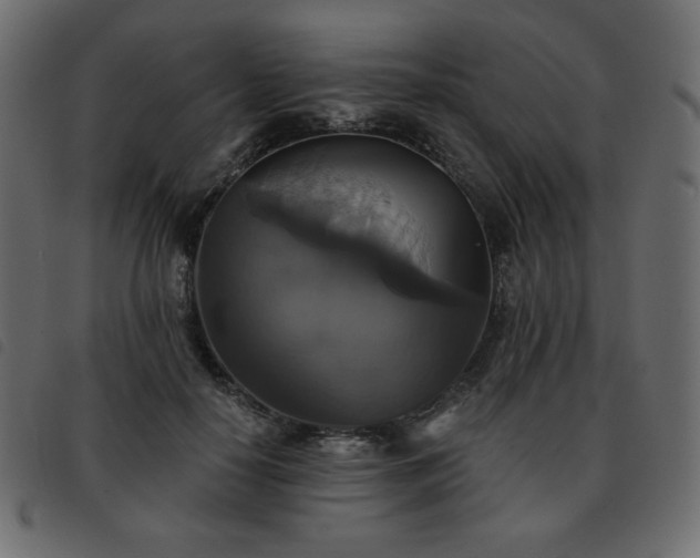 X0000093580650200710151146