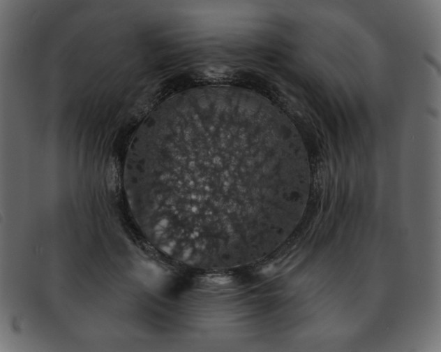 X0000093580651200710151146