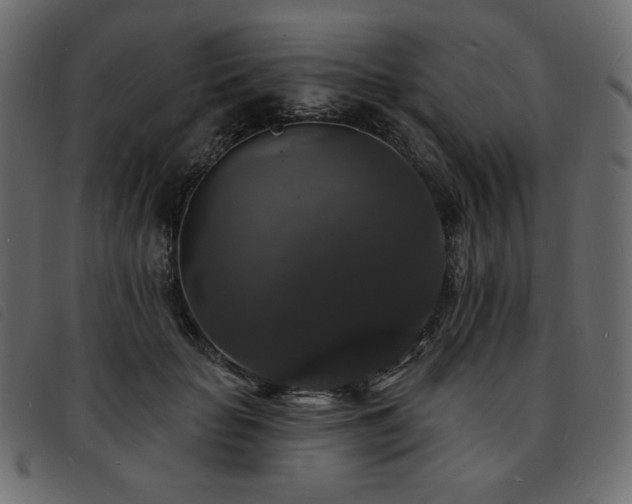X0000093580653200710151146