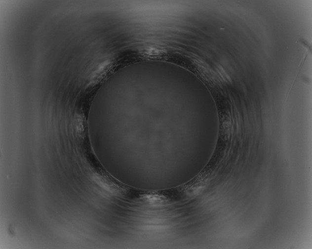 X0000093580654200710151146