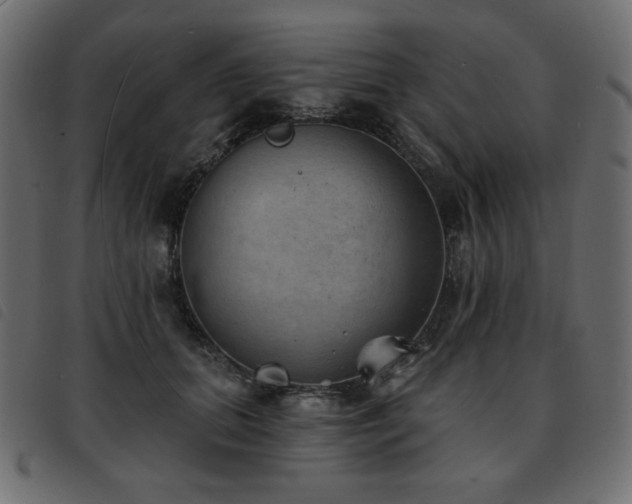 X0000093580655200710151146