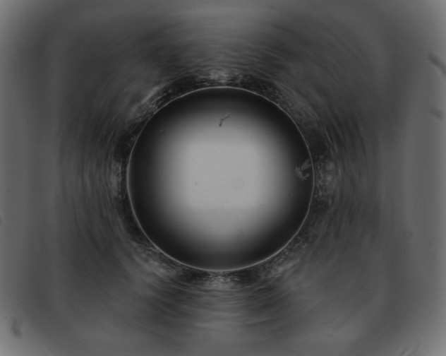 X0000093580656200710151146