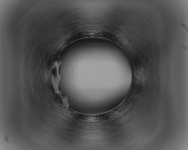 X0000093580657200710151146