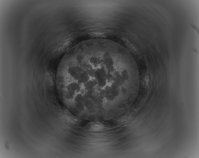 X0000093580658200710151146