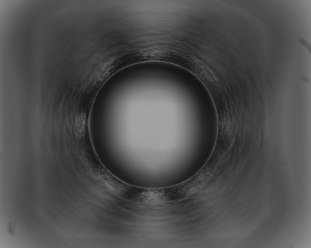 X0000093580660200710151146