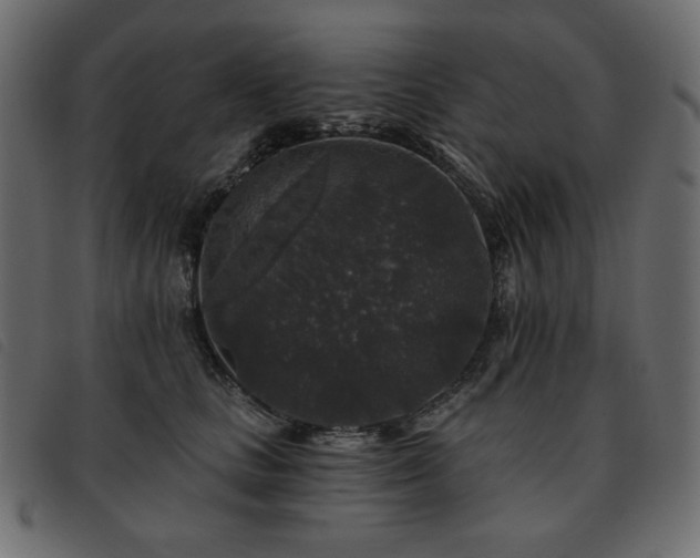 X0000093580661200710151146