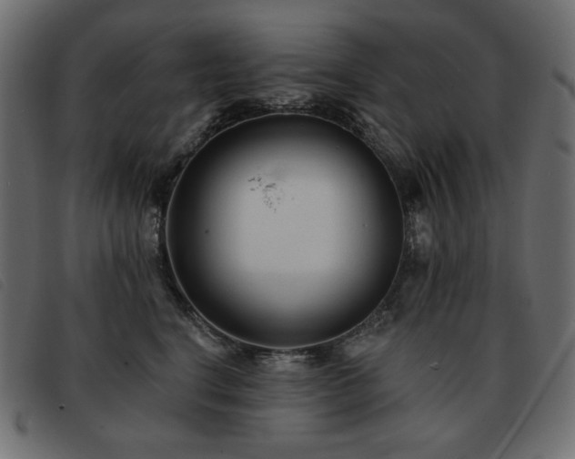 X0000093580664200710151146