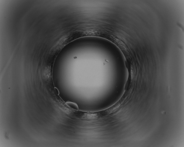 X0000093580665200710151146