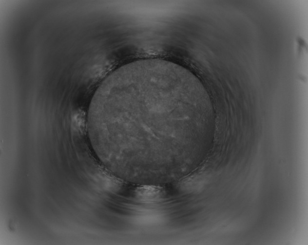 X0000093580672200710151146