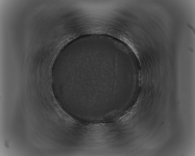 X0000093580673200710151145
