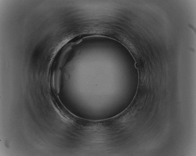 X0000093580674200710151145