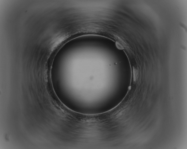 X0000093580675200710151145