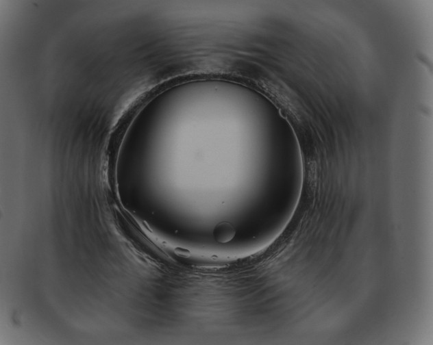 X0000093580676200710151145