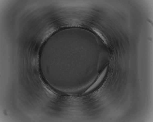 X0000093580677200710151145