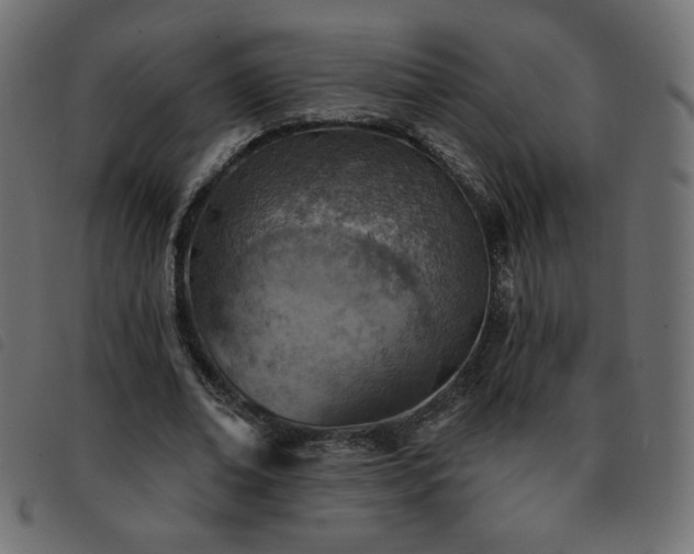 X0000093580678200710151145