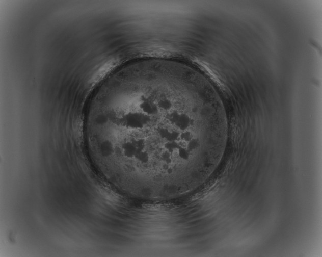 X0000093580679200710151145