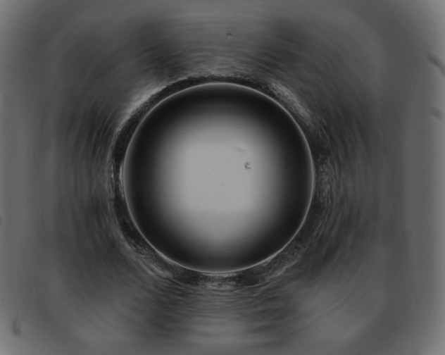 X0000093580680200710151145