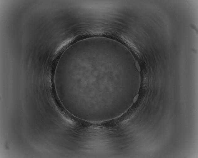 X0000093580681200710151145