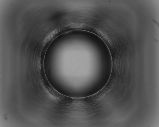 X0000093580682200710151145