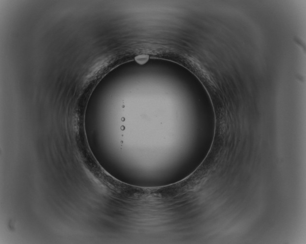 X0000093580683200710151145