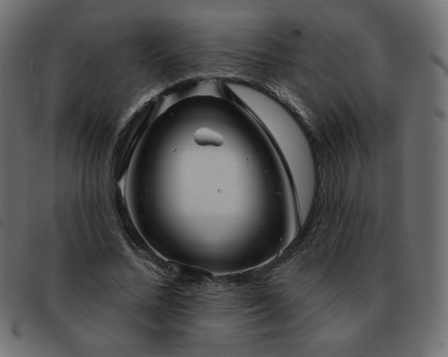 X0000093580684200710151145