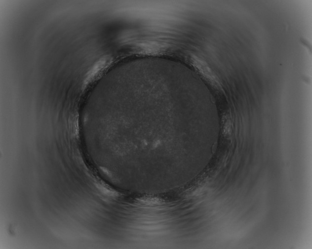 X0000093580685200710151145