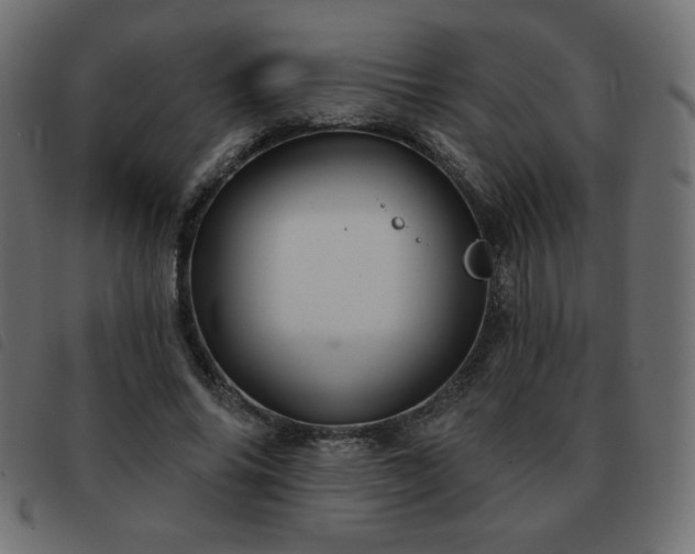 X0000093580686200710151145