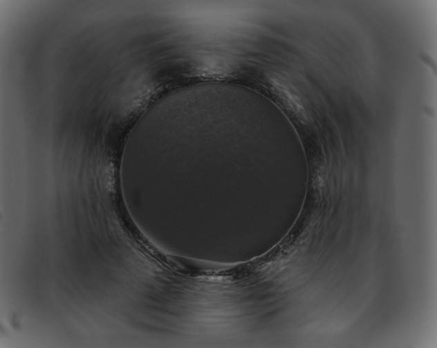X0000093580689200710151145