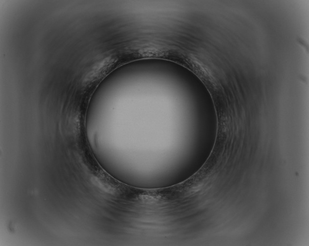 X0000093580690200710151145