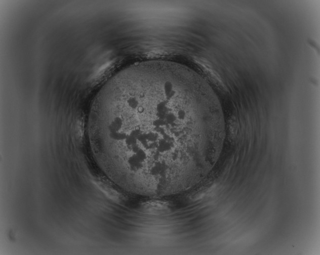 X0000093580691200710151145