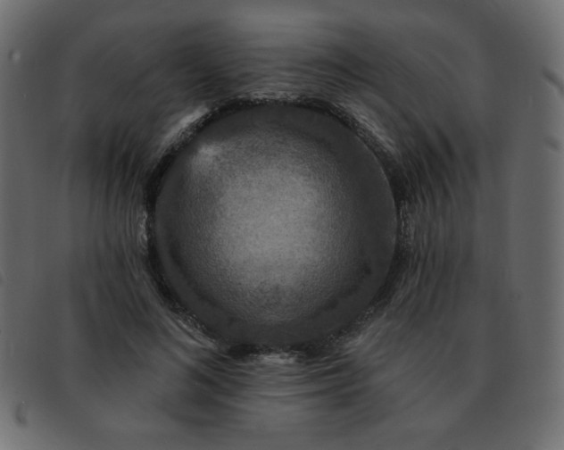 X0000093580692200710151145