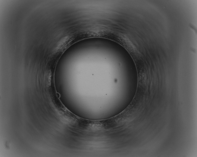 X0000093580694200710151145