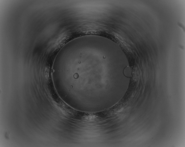 X0000093580695200710151145