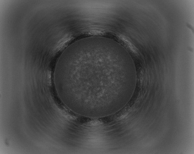 X0000093580696200710151145