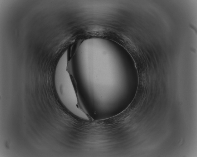 X0000093580697200710151145