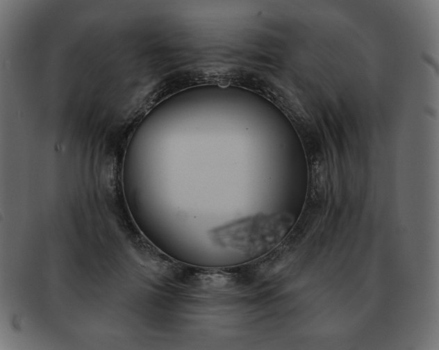 X0000093580698200710151145