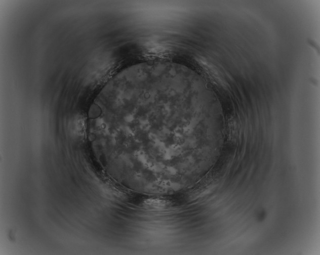 X0000093580699200710151145