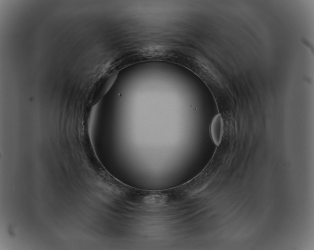 X0000093580700200710151145
