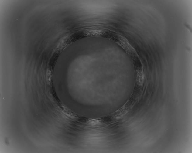 X0000093580701200710151145