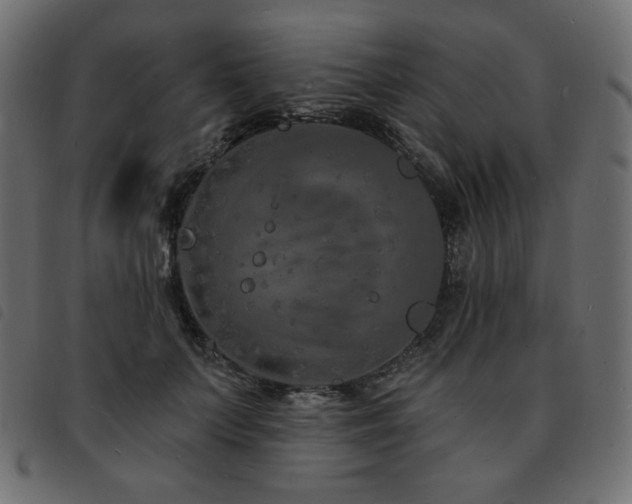 X0000093580703200710151145