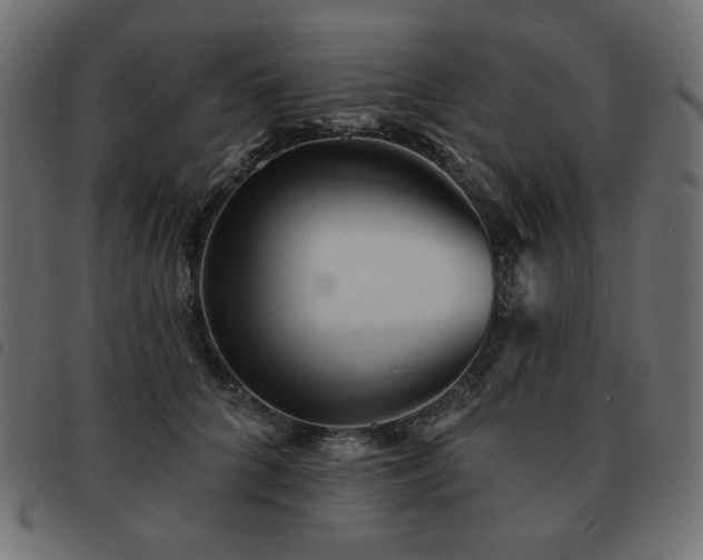 X0000093580704200710151145