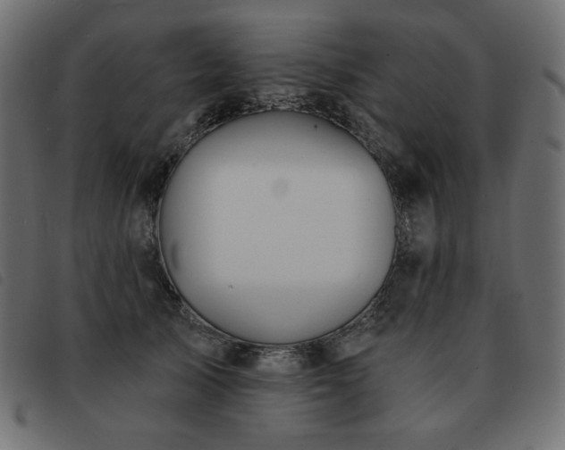 X0000093580705200710151145