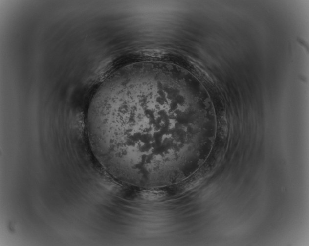X0000093580707200710151145