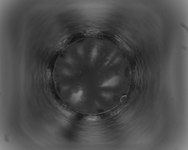 X0000093580711200710151145