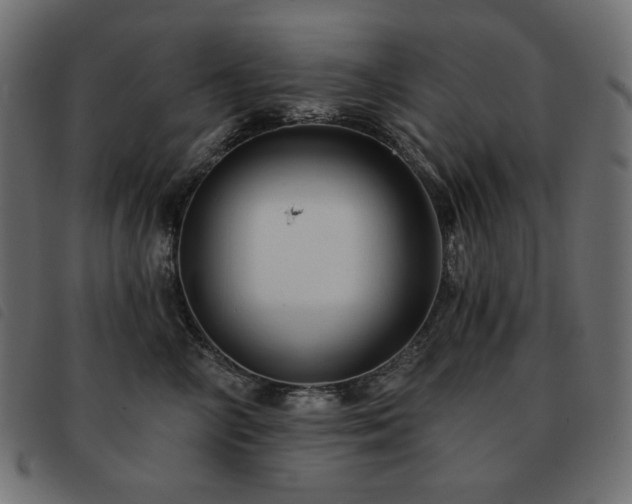 X0000093580714200710151145
