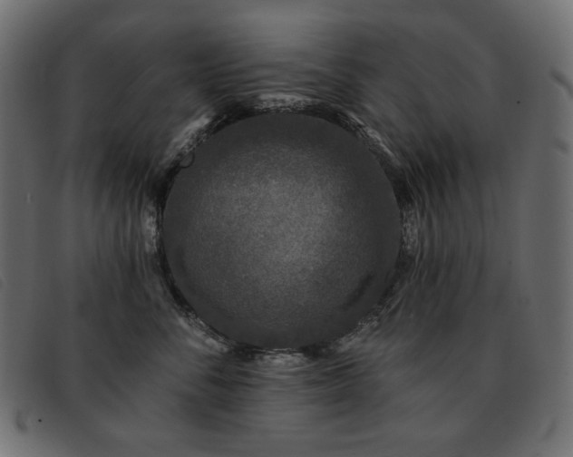 X0000093580716200710151145