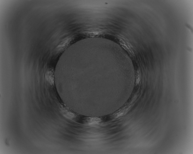 X0000093580719200710151145