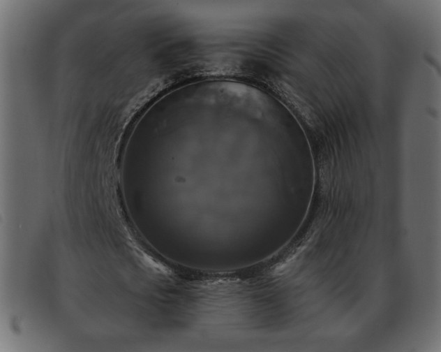 X0000093580721200710151144