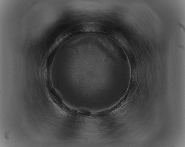 X0000093580722200710151144